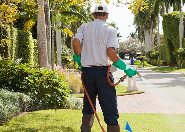 About Opheim MT Pest Control